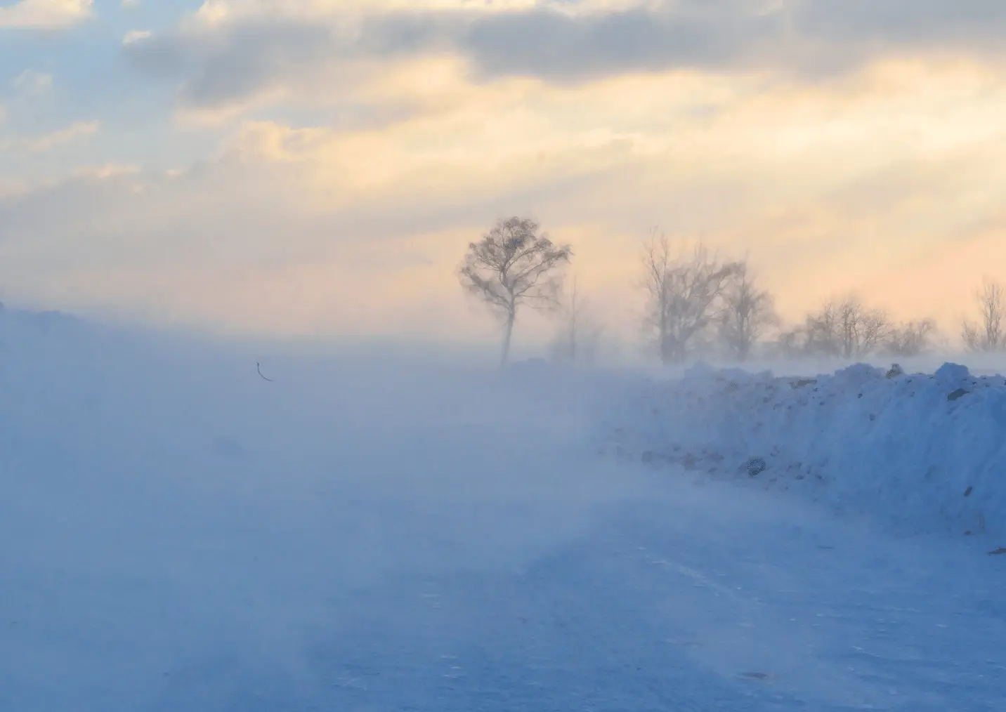 Farmito _ novela_vetrna_eroze_2027