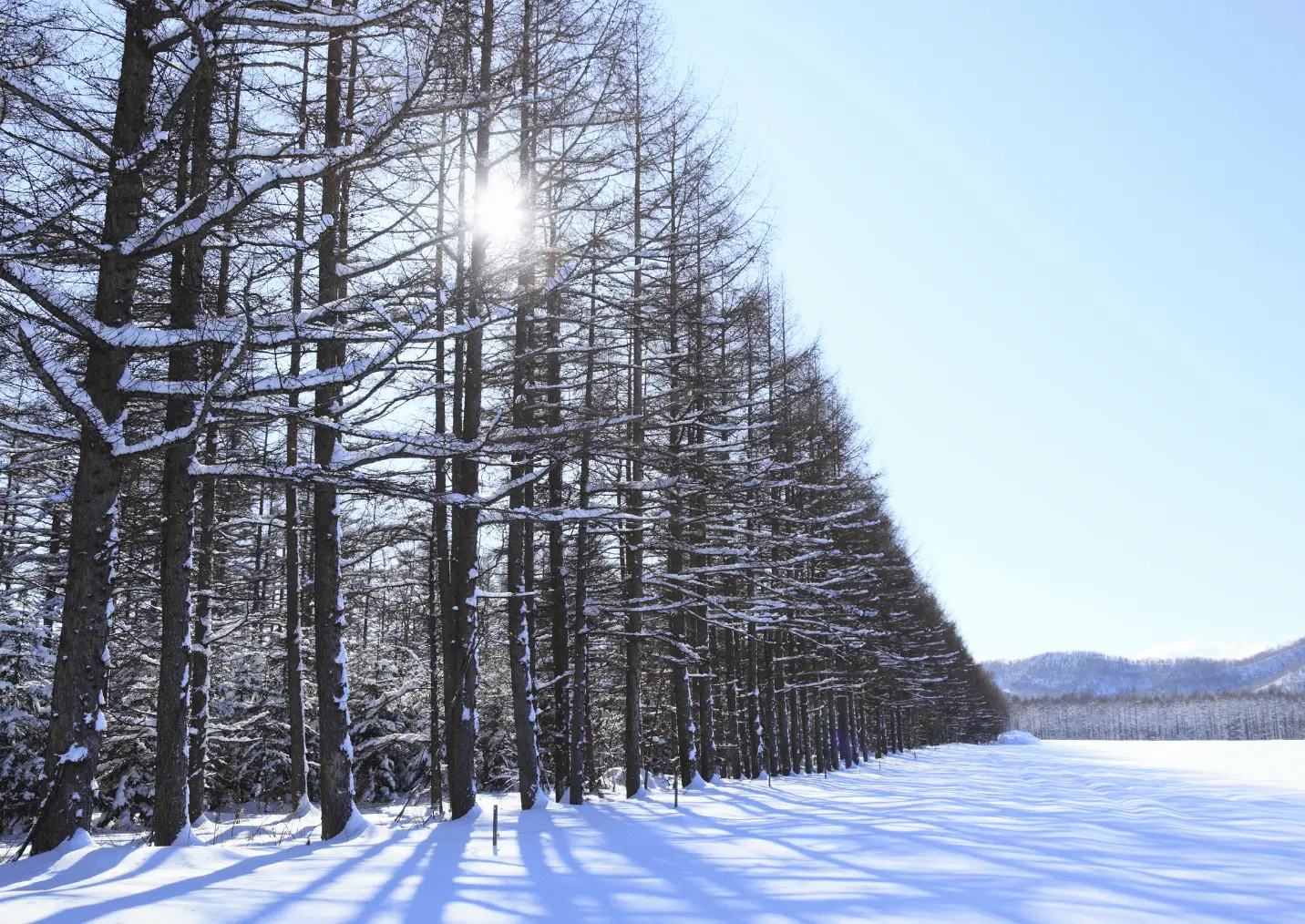 Farmito _ novela_vetrna_eroze_vetrolam