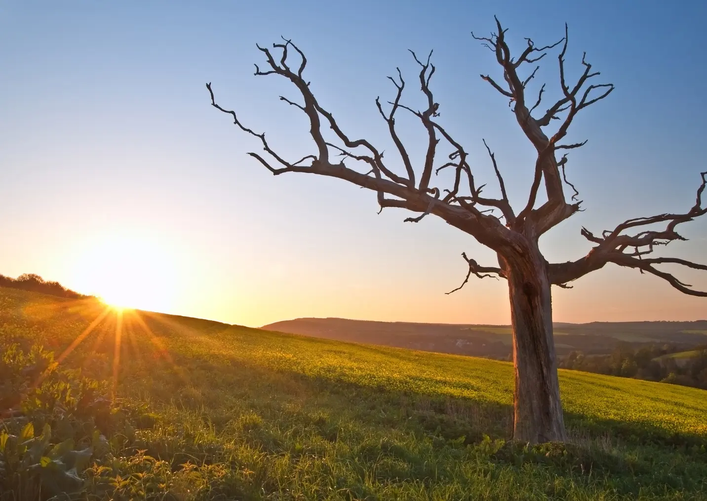 Farmito_vykup_pozemku (1)