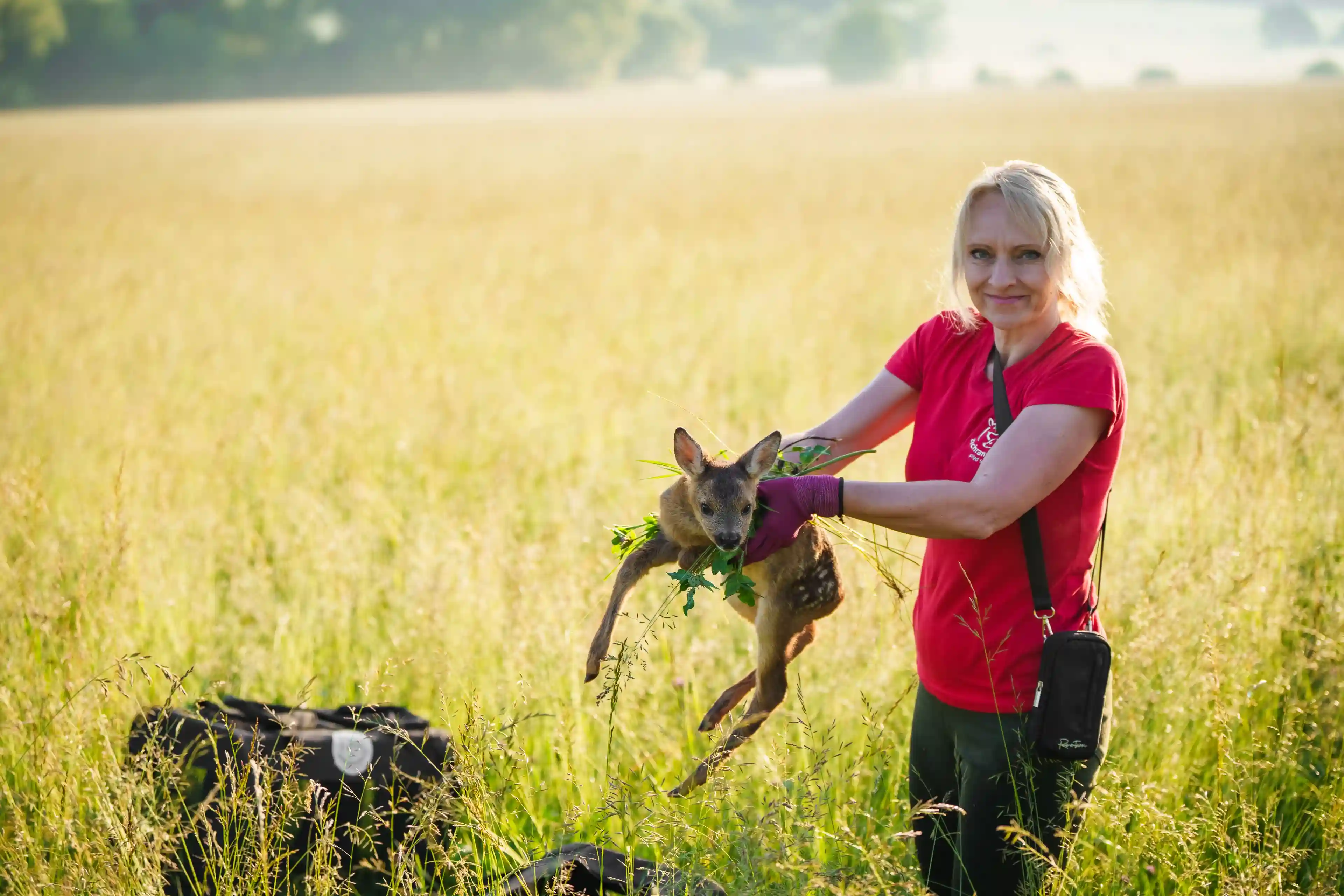 zachrana_srncat-ezgif.com-gif-maker