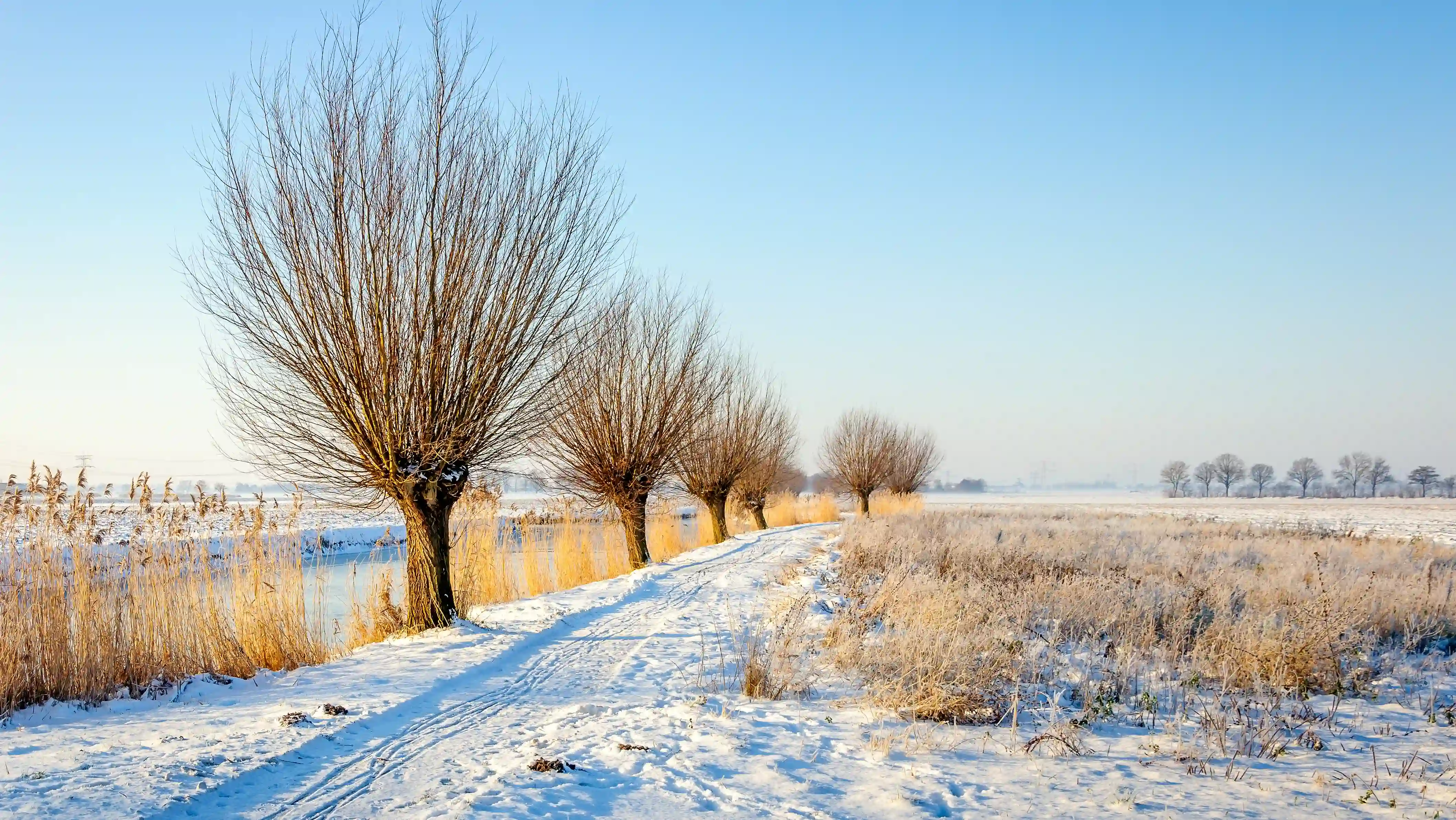 Podmadene_pozemky_co_s_nimi_farmito_vrba-ezgif.com-gif-maker