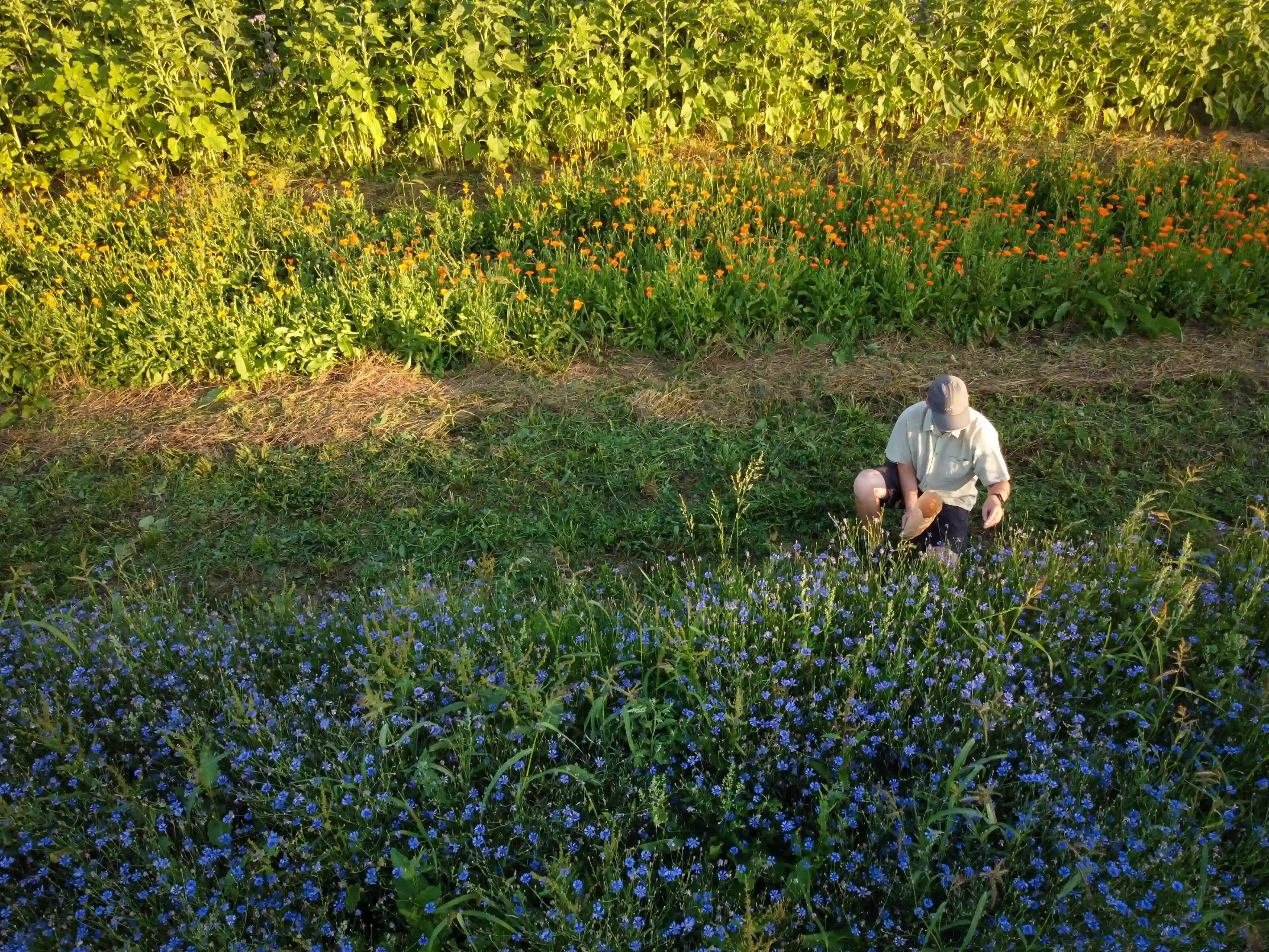 210730_david-jezek-pole_04-ezgif.com-png-to-webp-converter