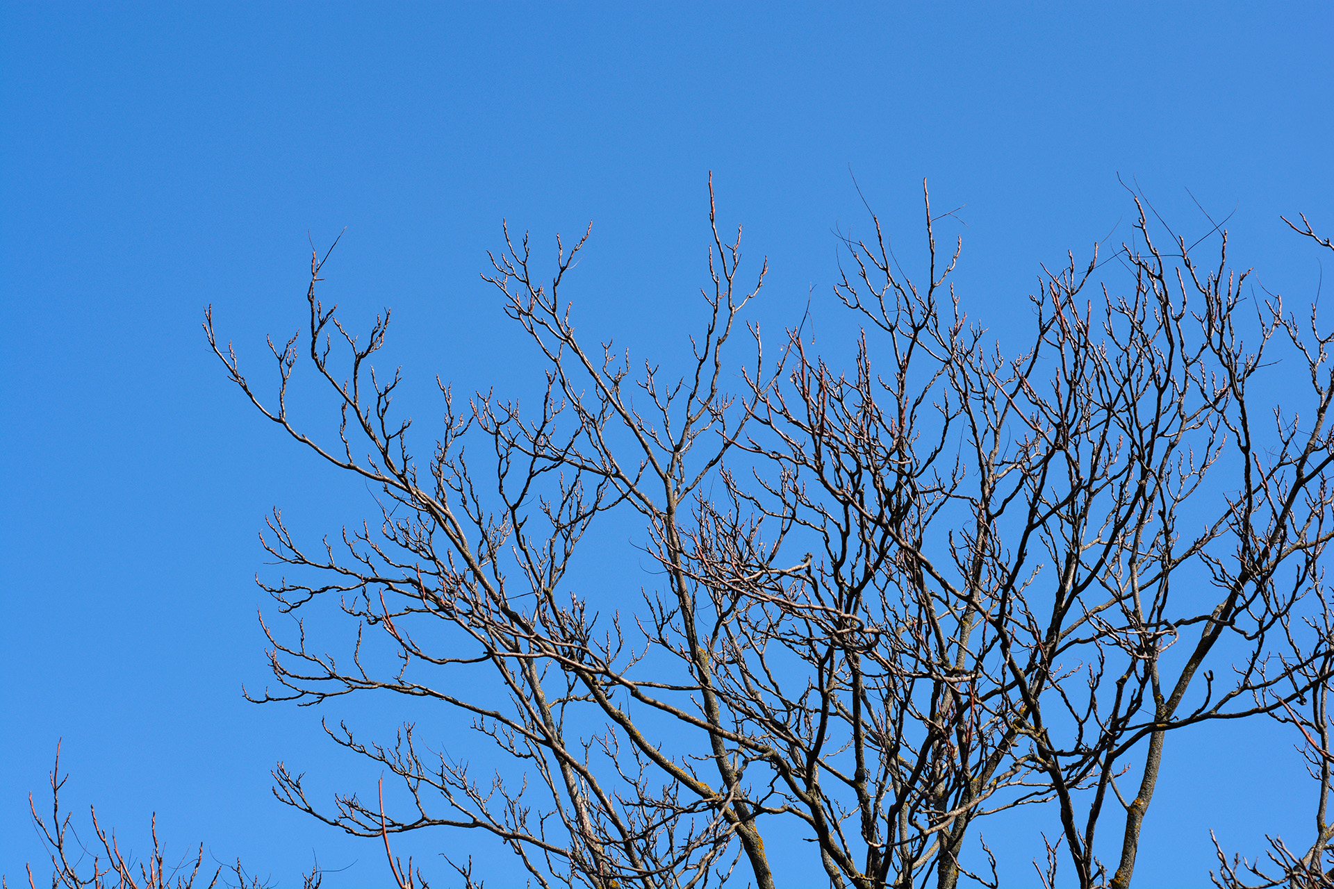 blog_20260620_2