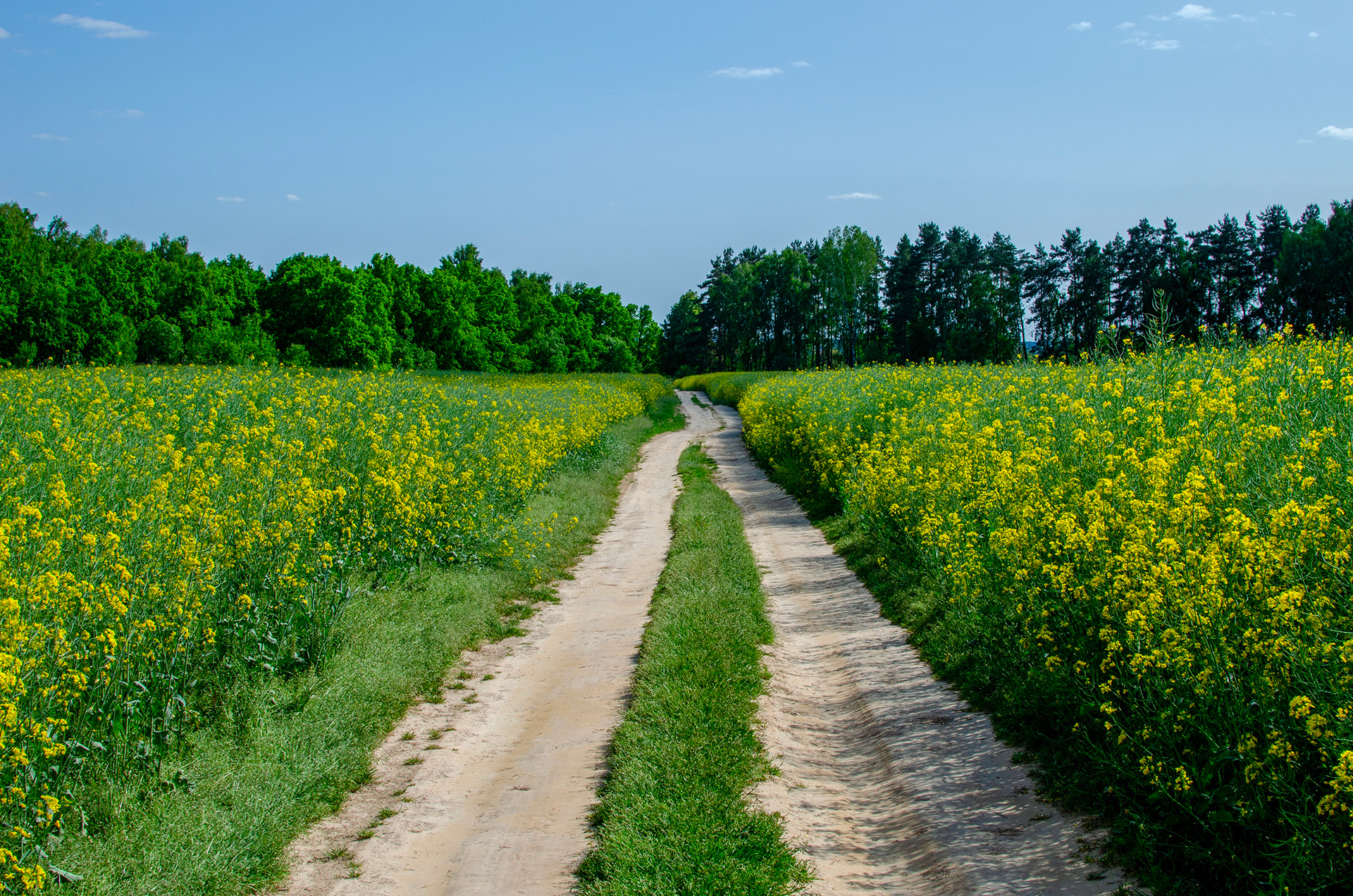 blog_20260623_2