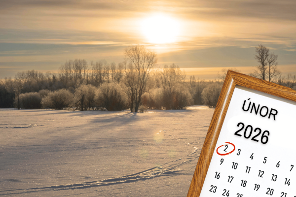 Daň z nemovitosti 2025: kolik zaplatíte za pole, ornou půdu a další pozemky?