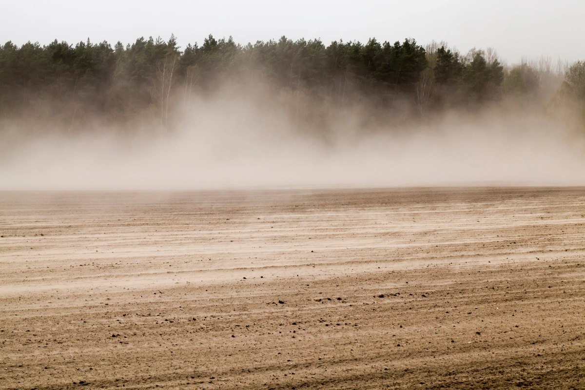 Větrolam proti větrné erozi půdy